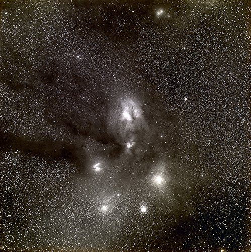 Rho Ophiuchus by Barnard
