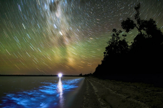 Bioluminescence and cosmic light