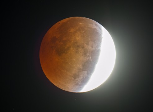 A star shines below the partially eclipsed moon Wednesday morning October 8, 2014 in this picture made through an 8-inch telescope at 6:06 a.m.