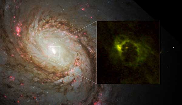 ALMA images M77 / NGC 1068's central regions