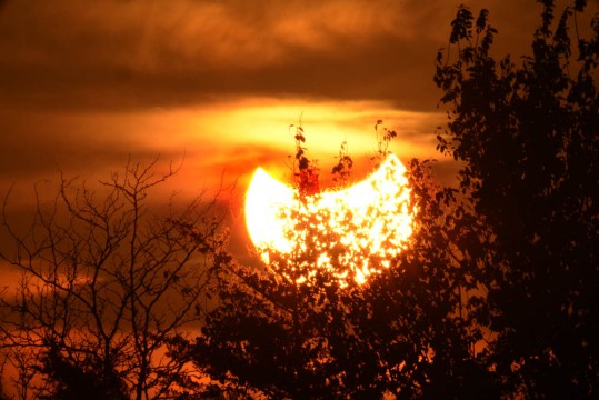 Sunset during partial solar eclipse, Weatherby, Missouri, October 23, 2014.Michael D. Radencich
