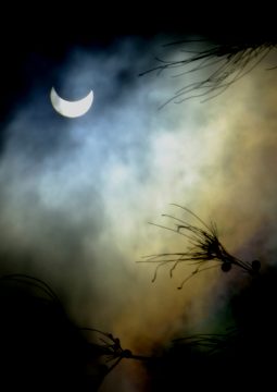 Partial solar eclipse, Kenya