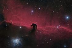 IC434, Horsehead nebula and surroundings, RGB and Ha blend  