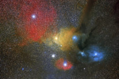 The Rho Ophiuchi complex  