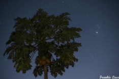Venus and the Pleiades at Twilight  