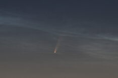 Comet NEOWISE viewed through noctilucent clouds  
