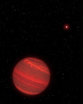 Super-Jupiter exoplanet orbiting far from its brown dwarf host
