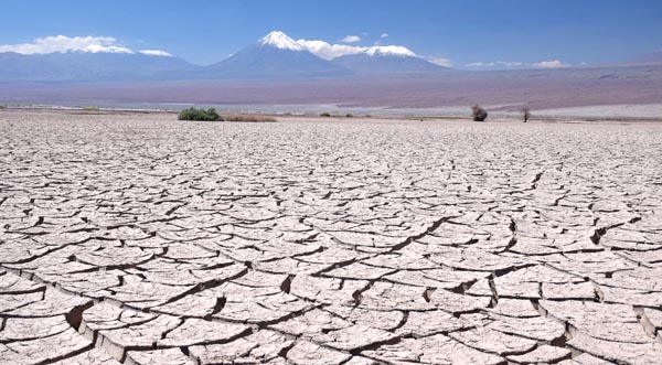 Atacama mudcracks