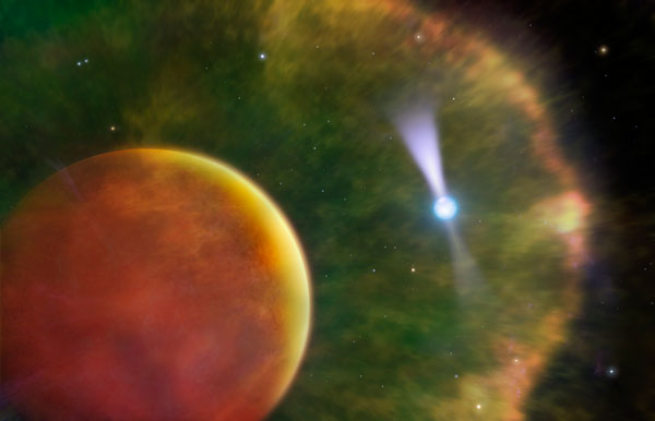 Pulsar-brown dwarf system