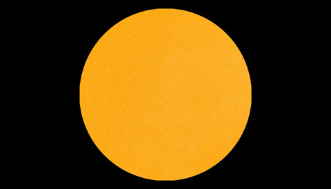 The blank Sun seen on January 12 by NASA's Solar Dynamics Observatory. SDO/HMI