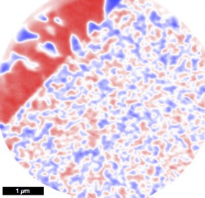 Image of the tetrataenite. Blue and red correspond to positive and negative projections of the magnetisation.  Credits: Bryson et al. 