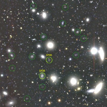 Dark galaxies in the Coma Cluster
