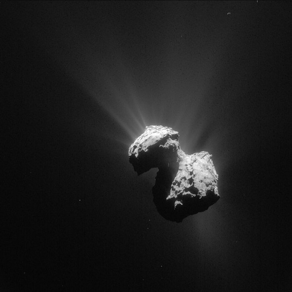 Rosetta's Comet