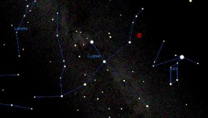 contact binary in Cygnus