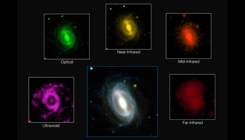 GAMA Galaxy Images