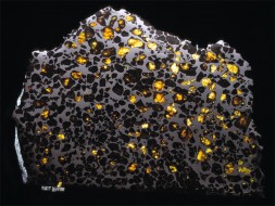 Esquel, a pallasite meteorite