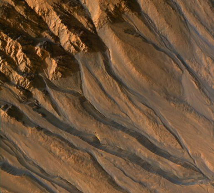 Gullies on a Martian crater's rim