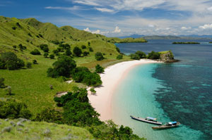 Indonesian coastline