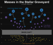 neutron star and black hole masses