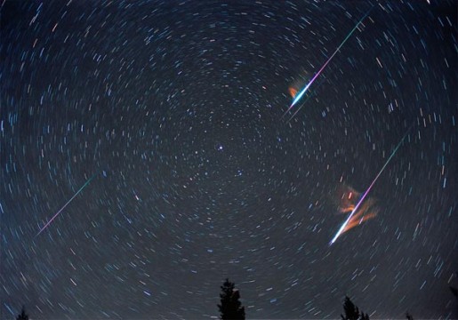 Leonids are well known for their fireballs. Tony Hallas captured two in a single frame during the 2001 Leonid shower.  Each also left a persistent, glowing train. Tony Hallas