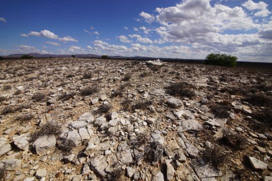 Shards of limestone mark the site of the 250,000-year-old Kalkkop impact crater in South Africa.