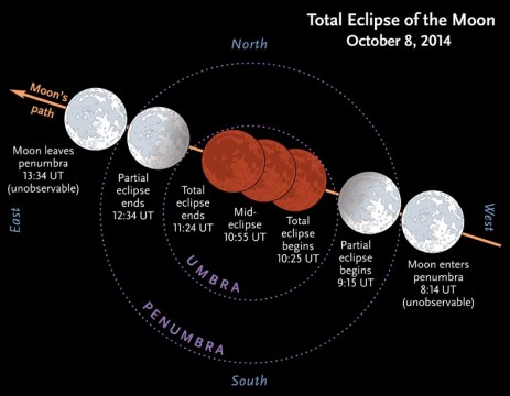 Stages of the October 8th lunar eclipse