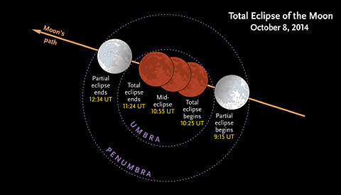 Stages of the October 14th lunar eclipse