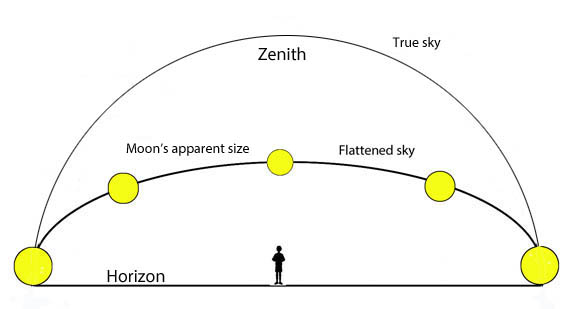 Deception by Perception: The Moon's apparent size relates to our perception of the sky as a flattened dome. When the Moon is viewed near the horizon, our brains judge it to be farther away than when seen near the zenith. Based on that assumption, we inflate its size to accommodate the false extra distance. Click graphic for more information.