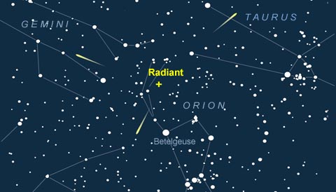 Radiant of the November Orionid meteor shower