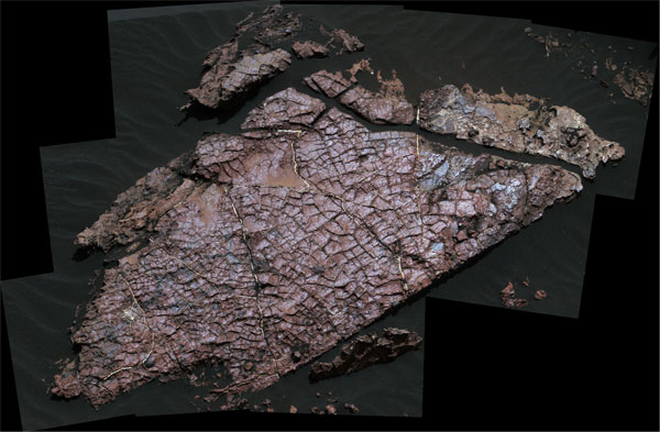 "Old Soaker" rock slab on Mars