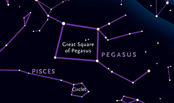 Where to find Pegasus