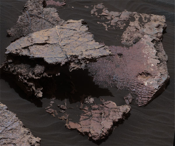 Squid Cove rock slab on Mars