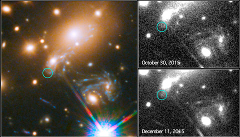 Supernova Refsdal's fifth image