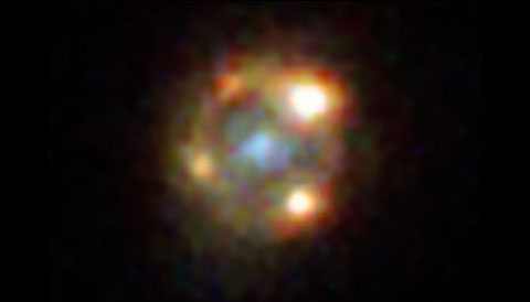 Supernova Einstein Cross