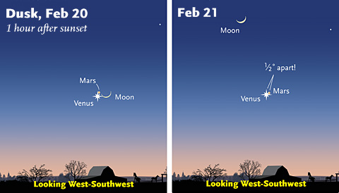 Venus, Mars, and the Moon this week