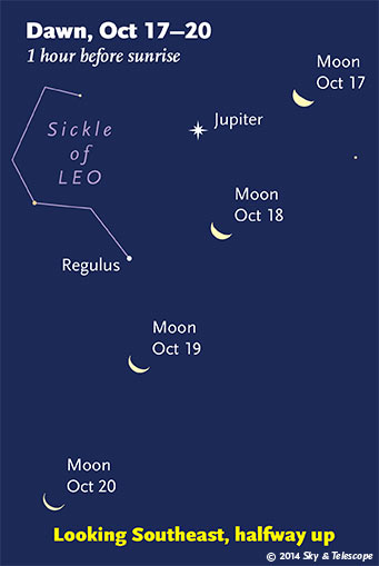 Moon passing Jupiter and Regulus at dawn, Oct 17-20, 2014
