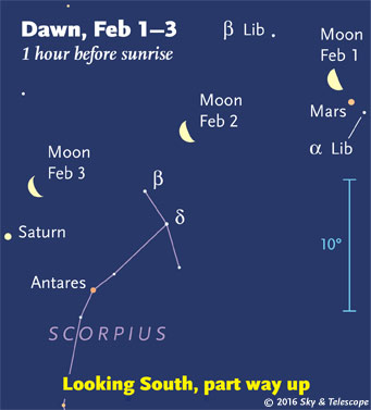Moon and planets in early dawn, Feb. 1-3, 2016