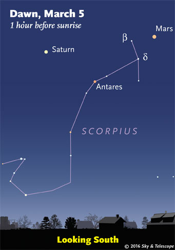 Saturn and Mars over Scorpius before dawn, early March 2016.