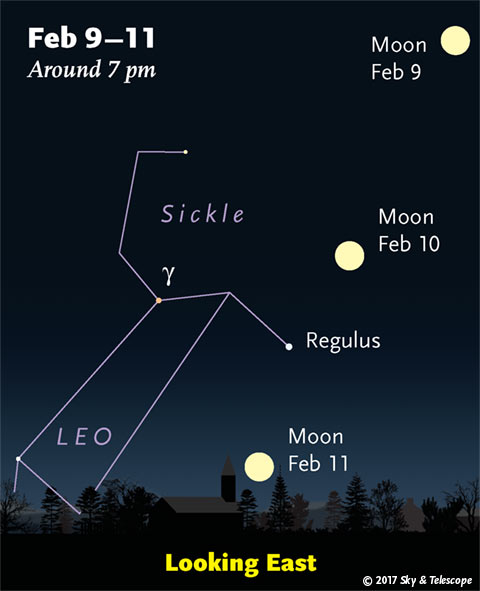 The February full Moon is always in (or near) Leo.