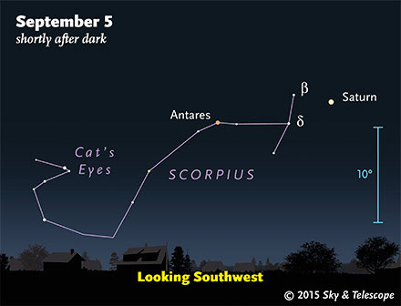 Saturn and Scorpius at nightfall, late August 2015