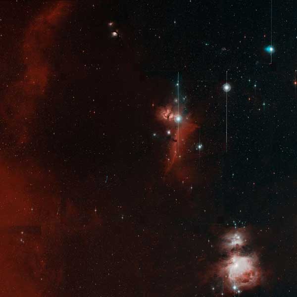 Zwicky Transient Facility first-light image in Orion