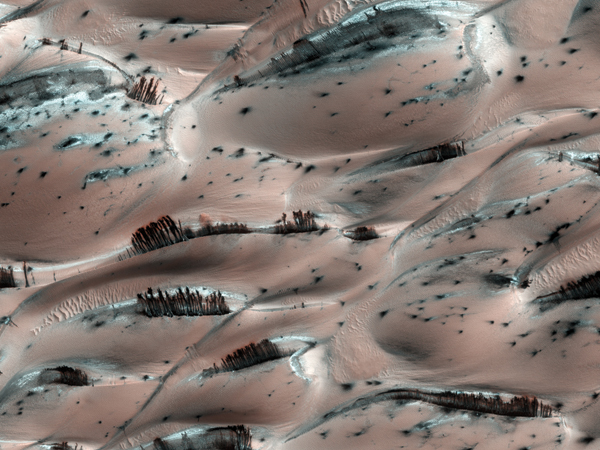 "Tree"-like tendrils of dark sand on Mars, seen with Mars Recconaissance Orbiter