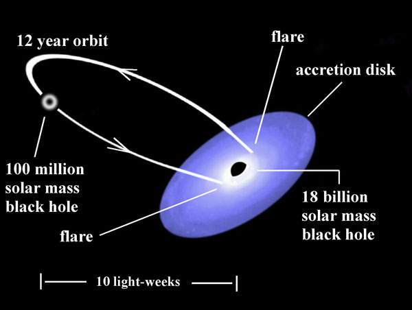 Mauri Valtonen and colleagues think the active galaxy OJ 287 contains two supermassive black holes in its nucleus, one of them possibly the most massive such object known in the universe. In the model pictured here, flares occur when the smaller black hole plunges through a disk of gas around the larger one twice during each 12-year orbit.Gary Poyner