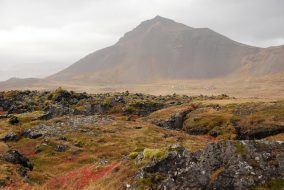View of Snæfellsness mountinas across Búðahraun lava fields, Búðir, Iceland, October 2016.S&T: S. N. Johnson-Roehr