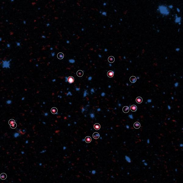 Galaxy Cluster with gas-rich galaxies