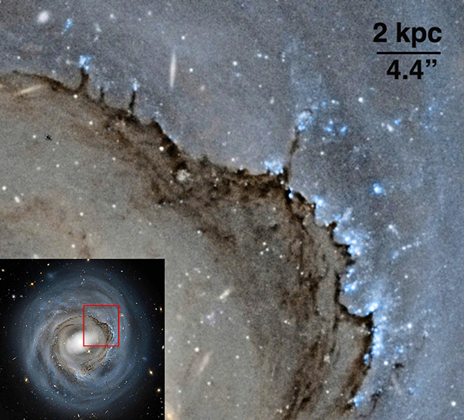 The dust pillars of NGC 4921 