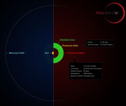 orbit of Proxima Centauri b