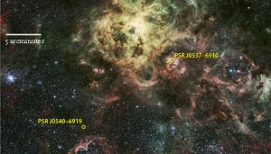Tarantula Nebula pulsars
