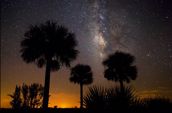 Kissimmee Prairie Preserve