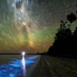 Bioluminescence and cosmic light, by Phil Hart